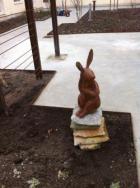 "Trygg hare" Akademiska sjukhuset Uppsala